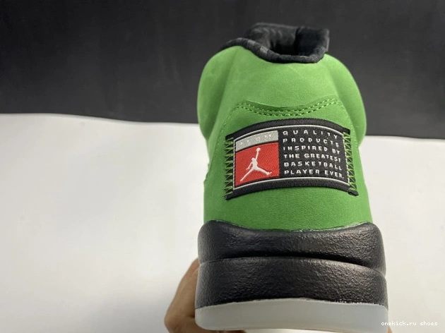 Cheap 5 CK6631-307 Air Ducks Oregon SE Jordan 0809